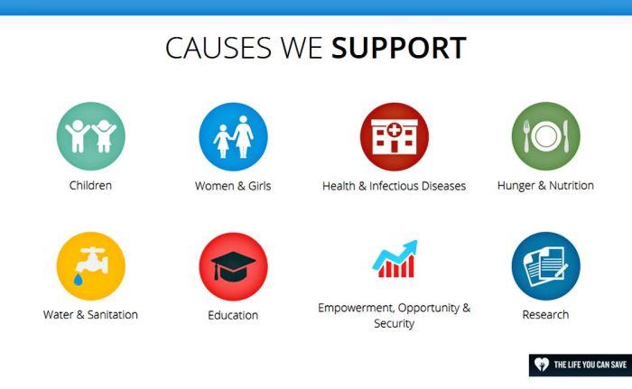 Da direita para a esquerda: Crianças | Mulheres e meninas | Saúde e doenças infecciosas | Fome e nutrição | Água e saneamento | Educação | Empoderamento, oportunidade e segurança | Investigação.
