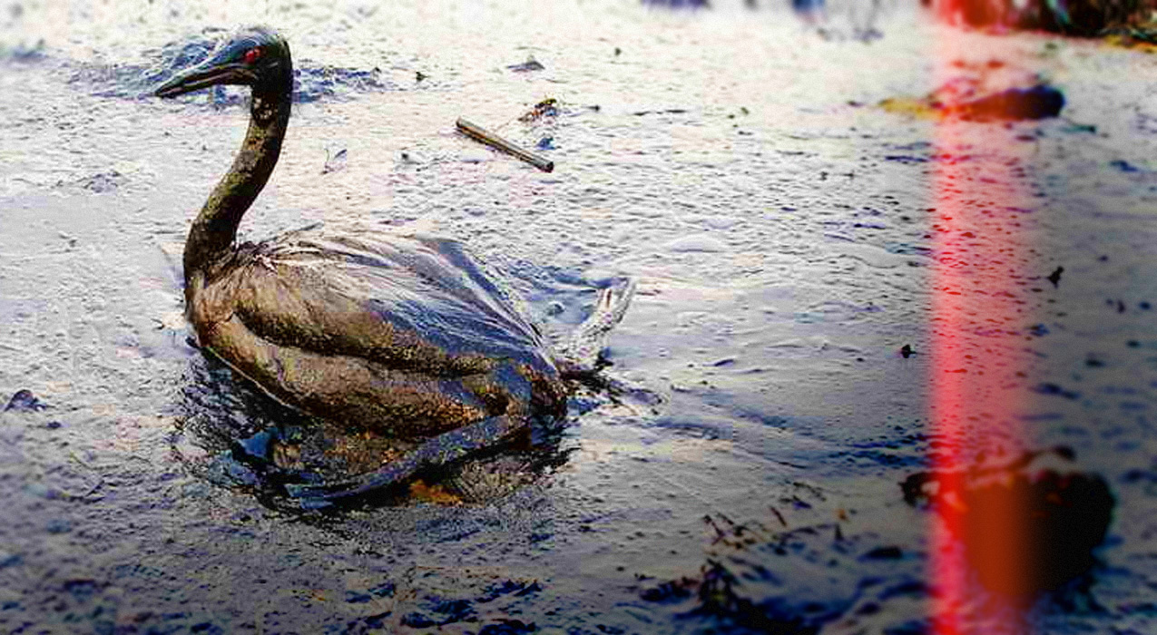 Negligência do Alcance.fx