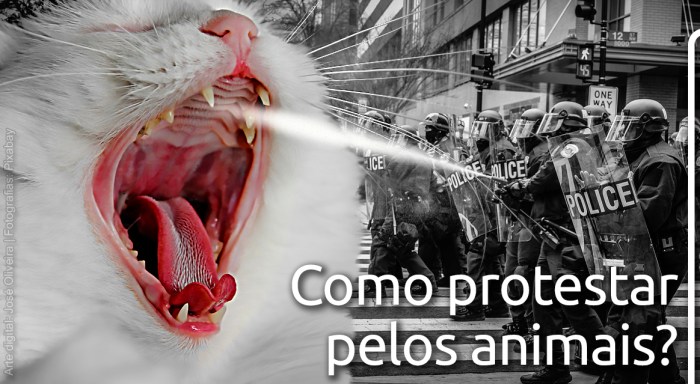 Protesto animal_L