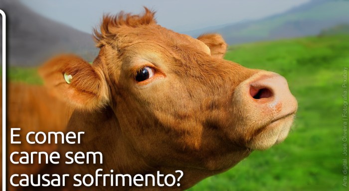 carne-sem-sofrimento_L