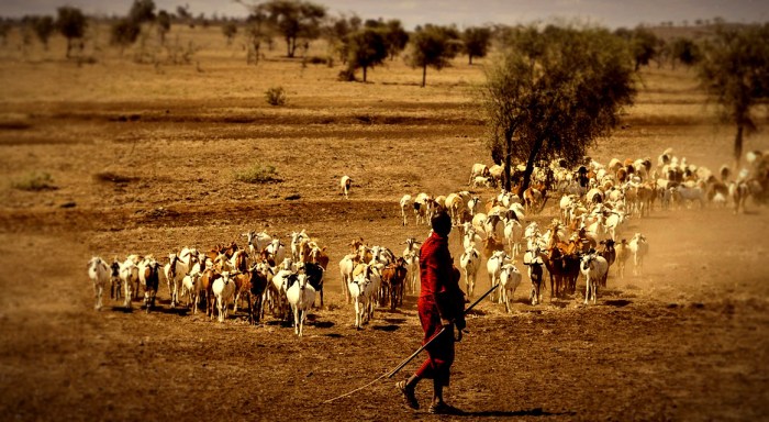 Antropologia e AE(19)