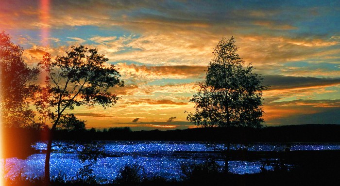 Noticias-posi-nega.fx