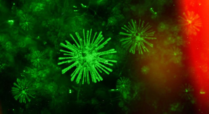 Coronavírus-preparar.fx