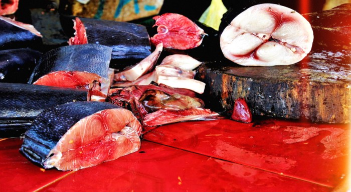 Coronavírus-acabar-com-elefx