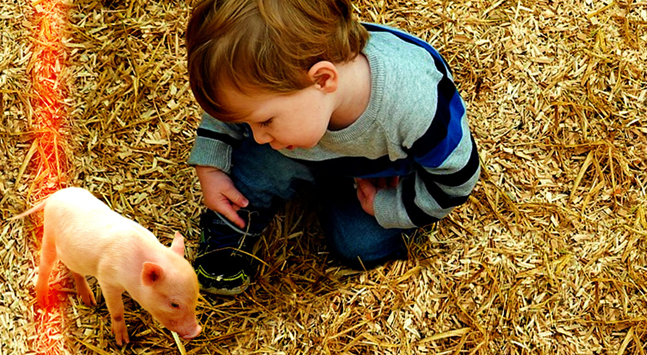 Crianças e especismo-Fx