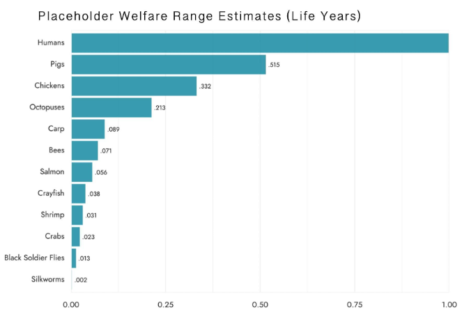 vqquqauopyemqtyveqie