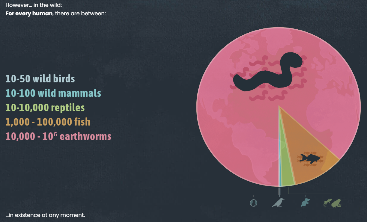 xscz3hcrtmet1ckdj4oq