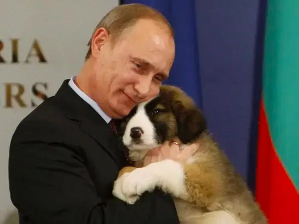 putin-puppy